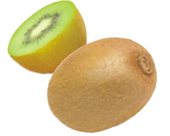 キウイのイラスト